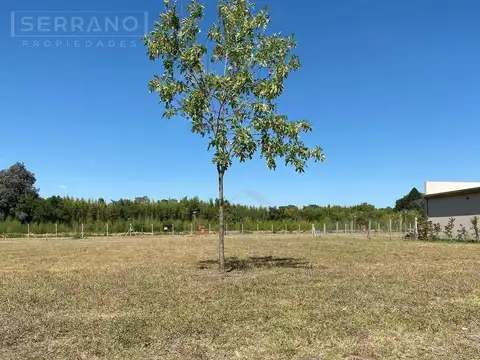 Terreno Lote  en Venta en El Aljibe, Pilar
