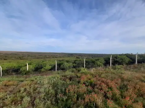 Ruta Provincial 20 100