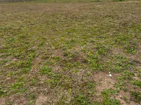 Terreno en Venta de 800,0 m2