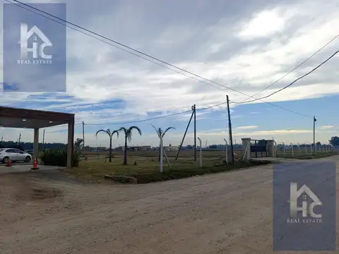 ARROYOS DE SAN VICENTE