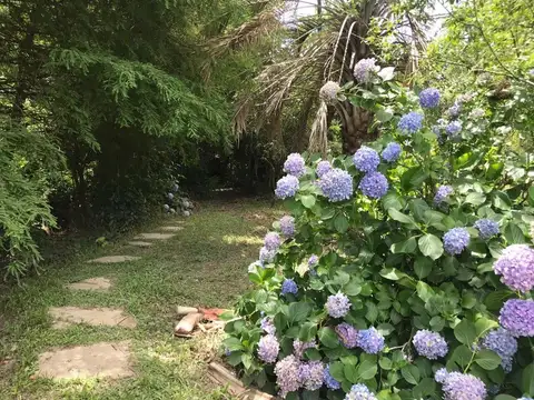 Terreno en Venta en Urion, USD 250.000