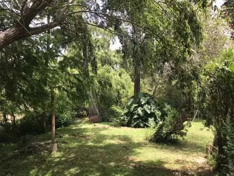 Terreno en Venta 100  mts Frente