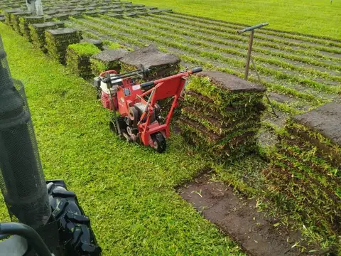 Impresionante Campo De 15 Hectareas En Venta En Baradero