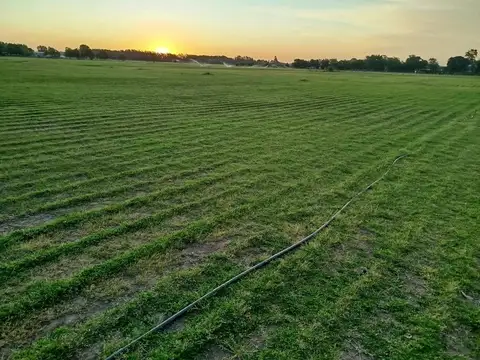 Campo en Venta en Baradero, Partido de Baradero