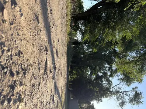 Terreno en Venta 25  mts Fondo