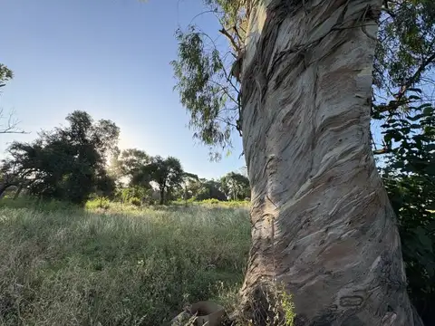 Terreno en Venta 25  mts Fondo