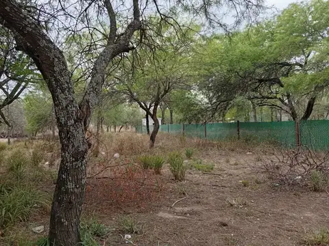 Terreno en Venta de 1500,0 m2