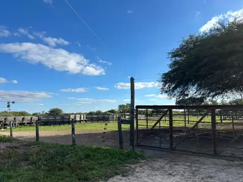 Se vende Campo en Moussy a 20 km  Reconquista