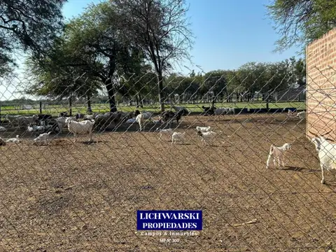 Venta a Tranquera Cerrada | Campo Mixto Totalmente Equipado | 98 Hectáreas