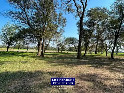 Campo en Venta de 98  ha
