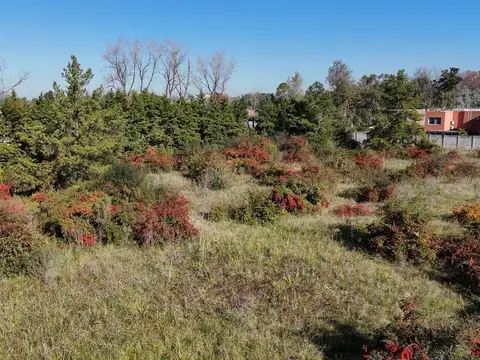 Terreno en Venta de 16800,0 m2