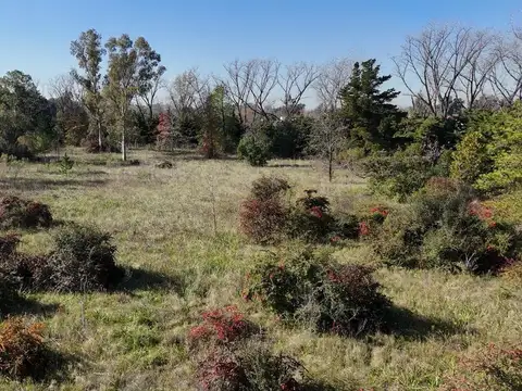 Terreno en Venta en Manuel Alberti, USD 1.512.000
