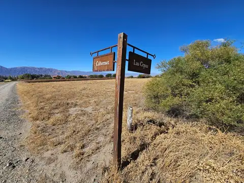 Terreno en Venta en Cafayate, USD 155.000