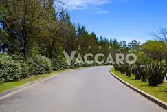 Emprendimiento