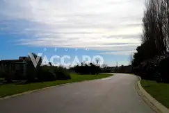 Emprendimiento en Terravista