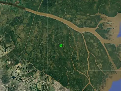 Río Toro