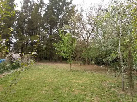 Terreno en Venta 63  mts Fondo