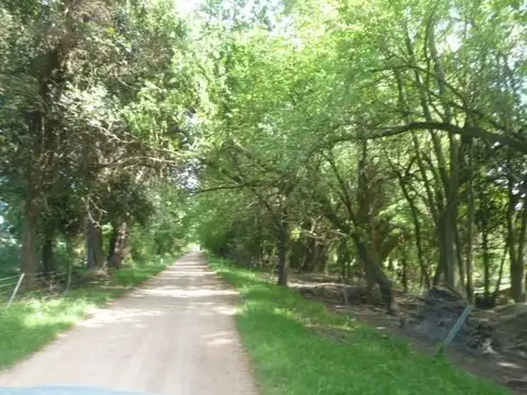 Campo en Ruta 226 y acceso a Sierras Bayas, Olavarría, Pcia de Bs. As.