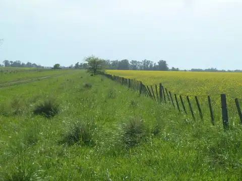 Campo en Olavarria