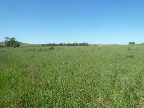 Campo en Ruta 226 y acceso a Sierras Bayas, Olavarría, Pcia de Bs. As.