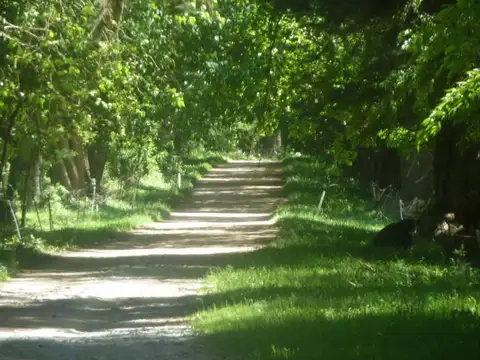 Campo en Olavarria