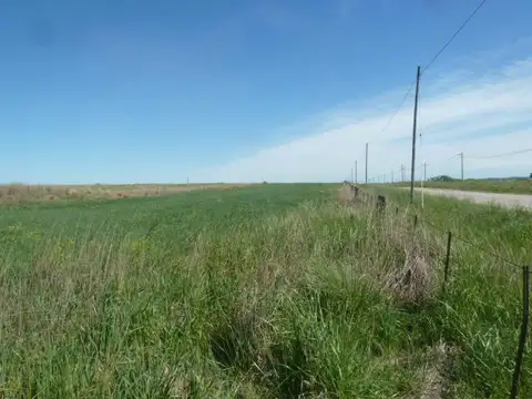 Campo en Olavarria