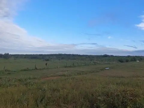 CAMPO GANADERO 310 HECTÁREAS BELLA VISTA CORRIENTES