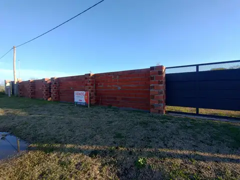 Grito de Alcorta 100