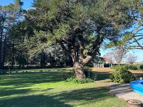 Quinta en Alquiler de 1 dormitorio
