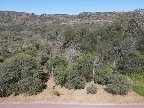 Terreno en Venta de 5170,0 m2