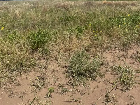 Terreno en Venta en Macachin, Atreucó