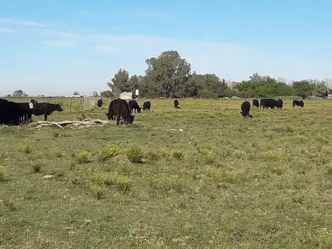 Ruta Nacional 34 | Km 21