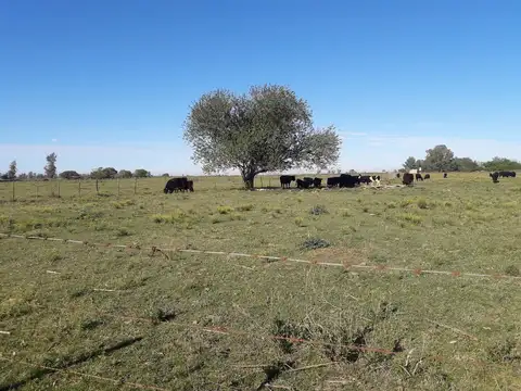 Venta | Campo | 2,85 Hectáreas | Con casa de 2 Dormitorios | Luis Palacios