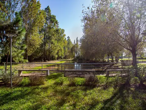 Terreno en Venta de 1100,0 m2