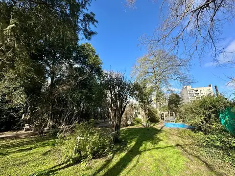 Colón 142