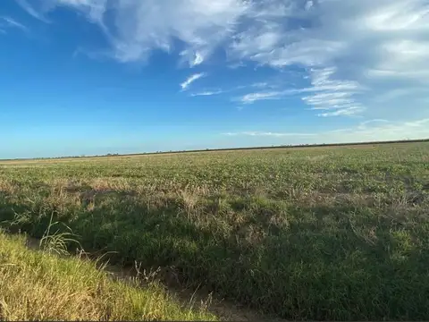 OPORTUNIDAD DE INVERSIÓN A LARGO PLAZO Lote  12X25