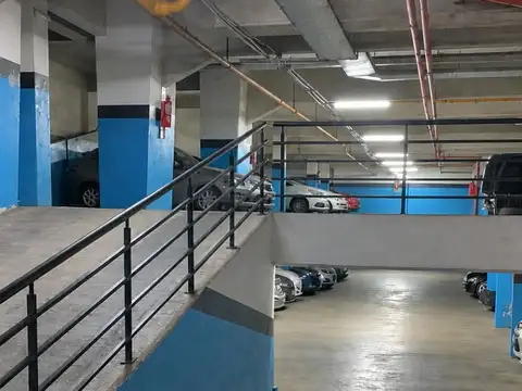 Colpayo 100