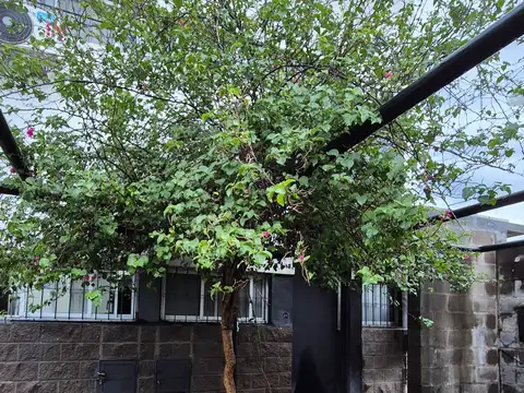 Los 3 Mosqueteros! 3 Duplex para inversión!