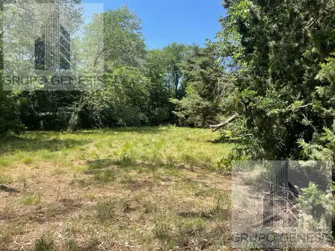 VENTA LOTE TERRENO EL MORO