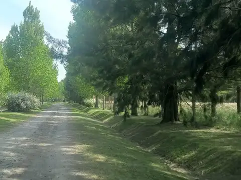 Terreno en Venta en Kilometro 58, USD 23.000