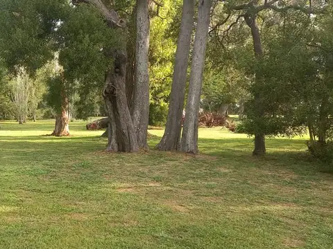 Terreno en Venta de 1350,0 m2