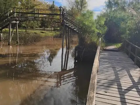 Arroyo Toro Delta de Tigre