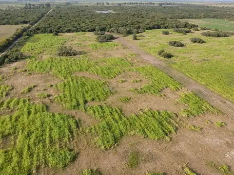 VENTA DE CAMPO EN SAN JERONIMO DEL SAUCE 252 has