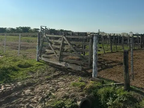 VENTA DE CAMPO EN SAN JERONIMO DEL SAUCE 252 has