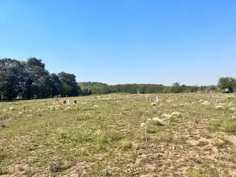 Terreno en Venta en Manzanares, USD 12.300
