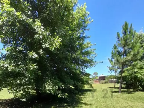 Terreno en Venta de 1276,0 m2