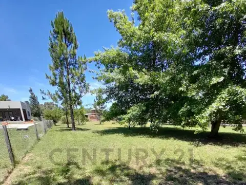 Terreno en Venta en Arturo Segui, USD 32.000