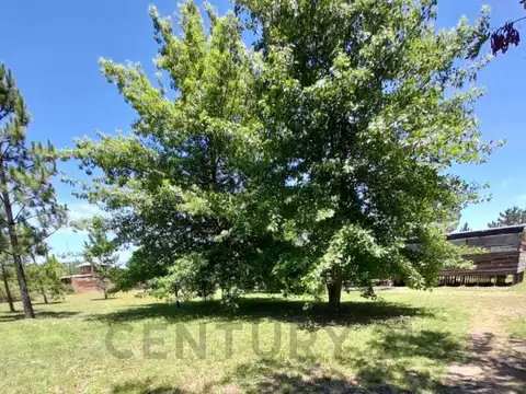Lote en venta en arturo segui