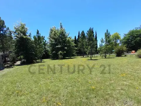 Lote en venta en arturo segui