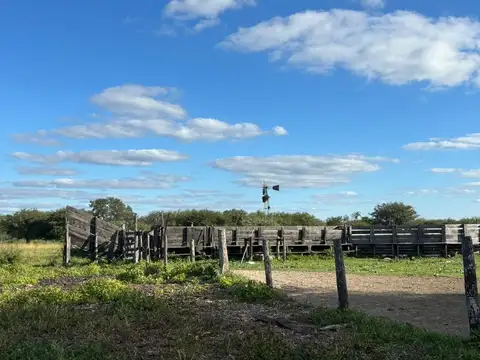 Se vende Campo en Moussy a 20 km  Reconquista